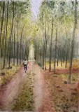 Hacia-la-luz-del-bosque