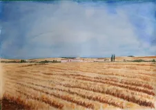 Vega-Chica.-Torrecilla-de-la-Abadesa.-Valladolid