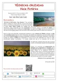 2025-11-Sintesis-Exposicion-CC-Eduardo-Chillida