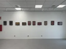 2025-05-6-Expo-fotos-CC-Juan-Genoves_04