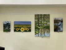 2025-03-22  Exposición Espacio Cultural Núñez de Balboa