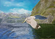 Gaviota-en-los-fiordos-noruegos