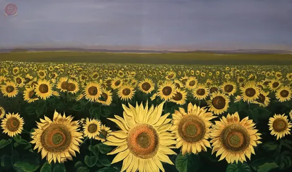 Los-Girasoles