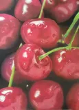 Cerezas